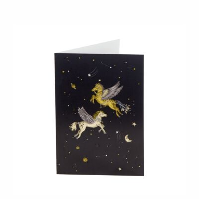 COM.S.JOURNEY PEGASUS CARD BLK