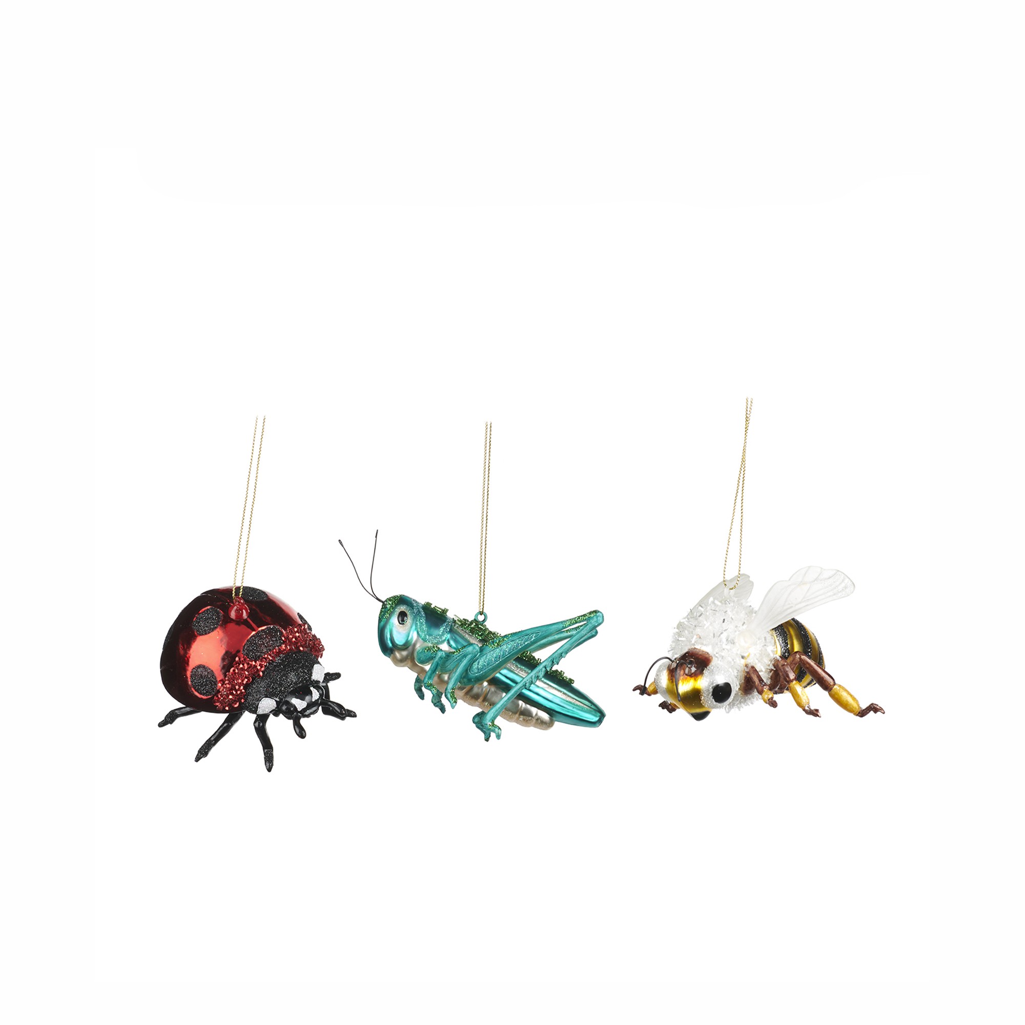 GLSS LADYBUG/BEE/GRASSHOPP.ORN ASS/3