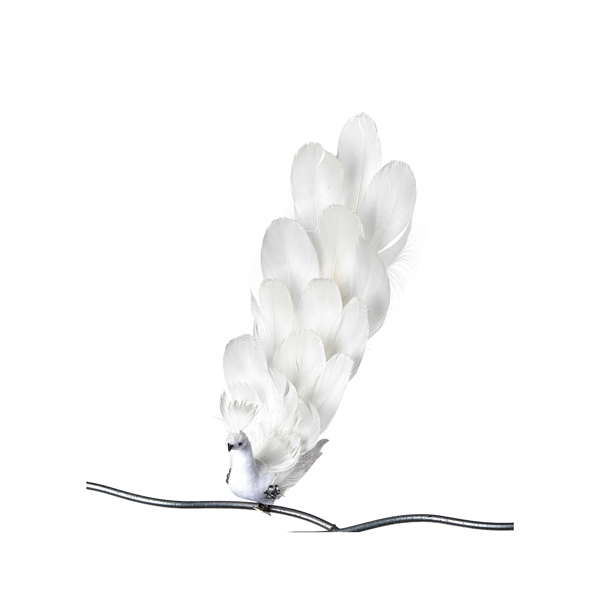 GLT JEWEL PEACOCK ON CLIP WH