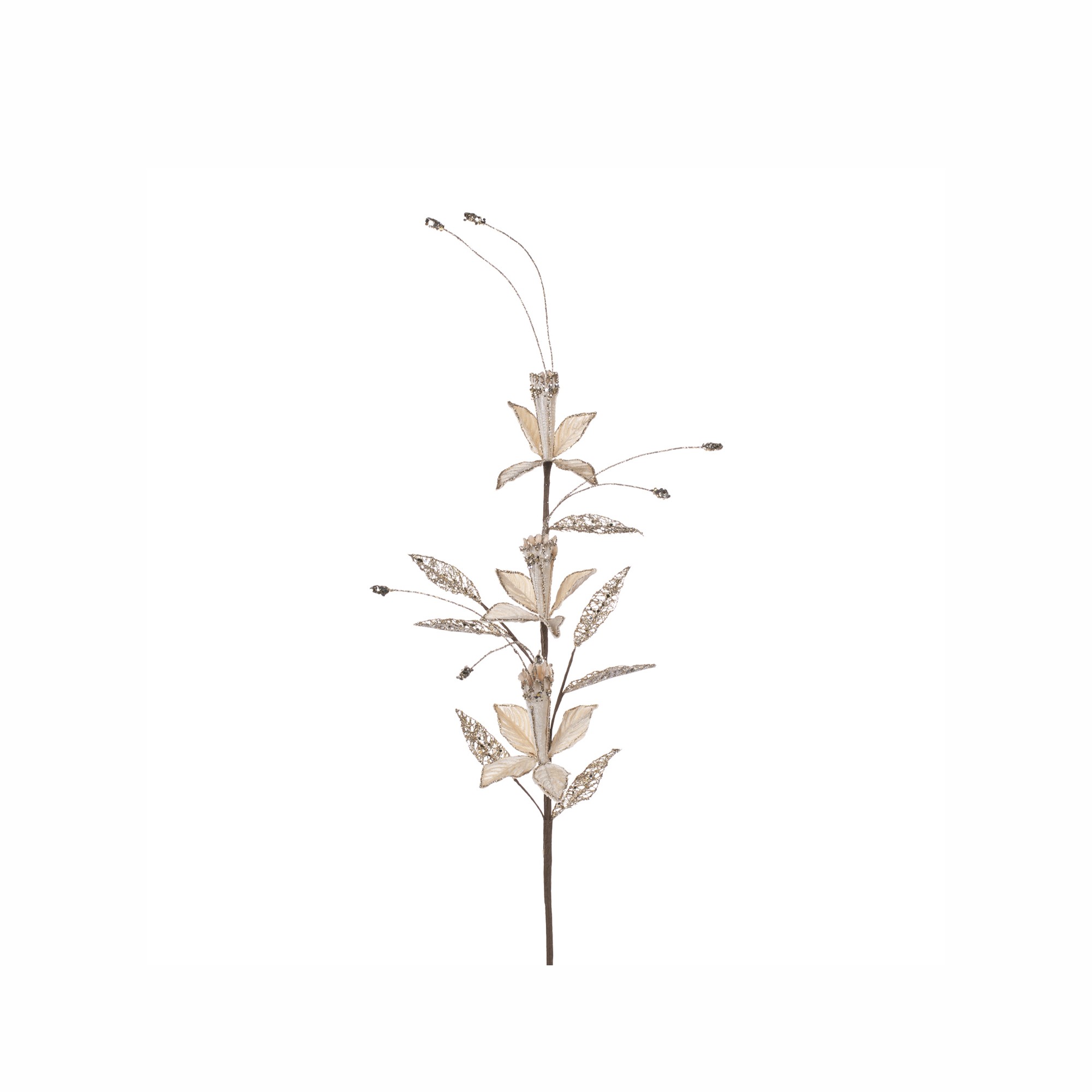 GLT TRUMPET FLOWER/BURST STEM CRM/CHAMP