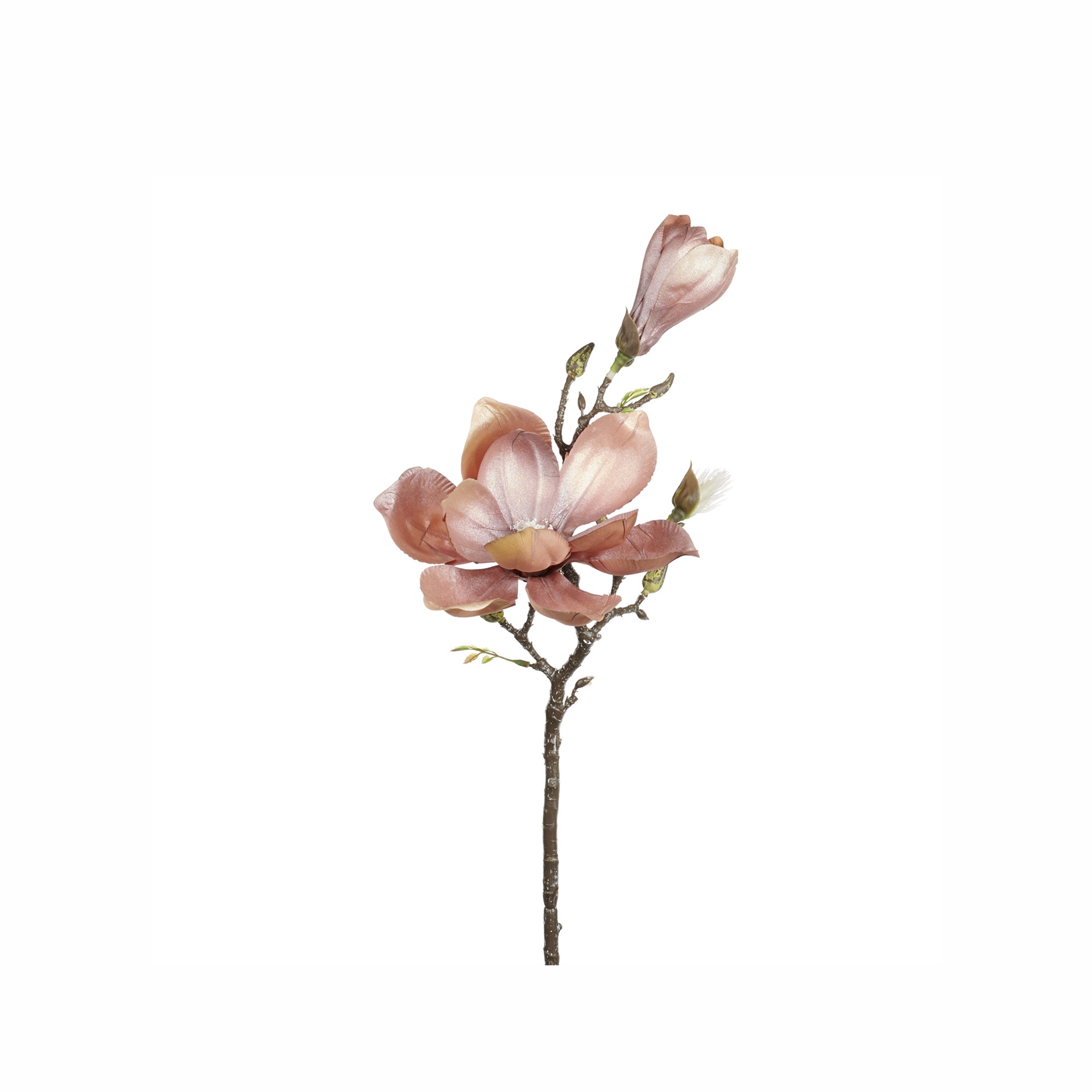 MAGNOLIA FLOWER/BUD STEM PNK