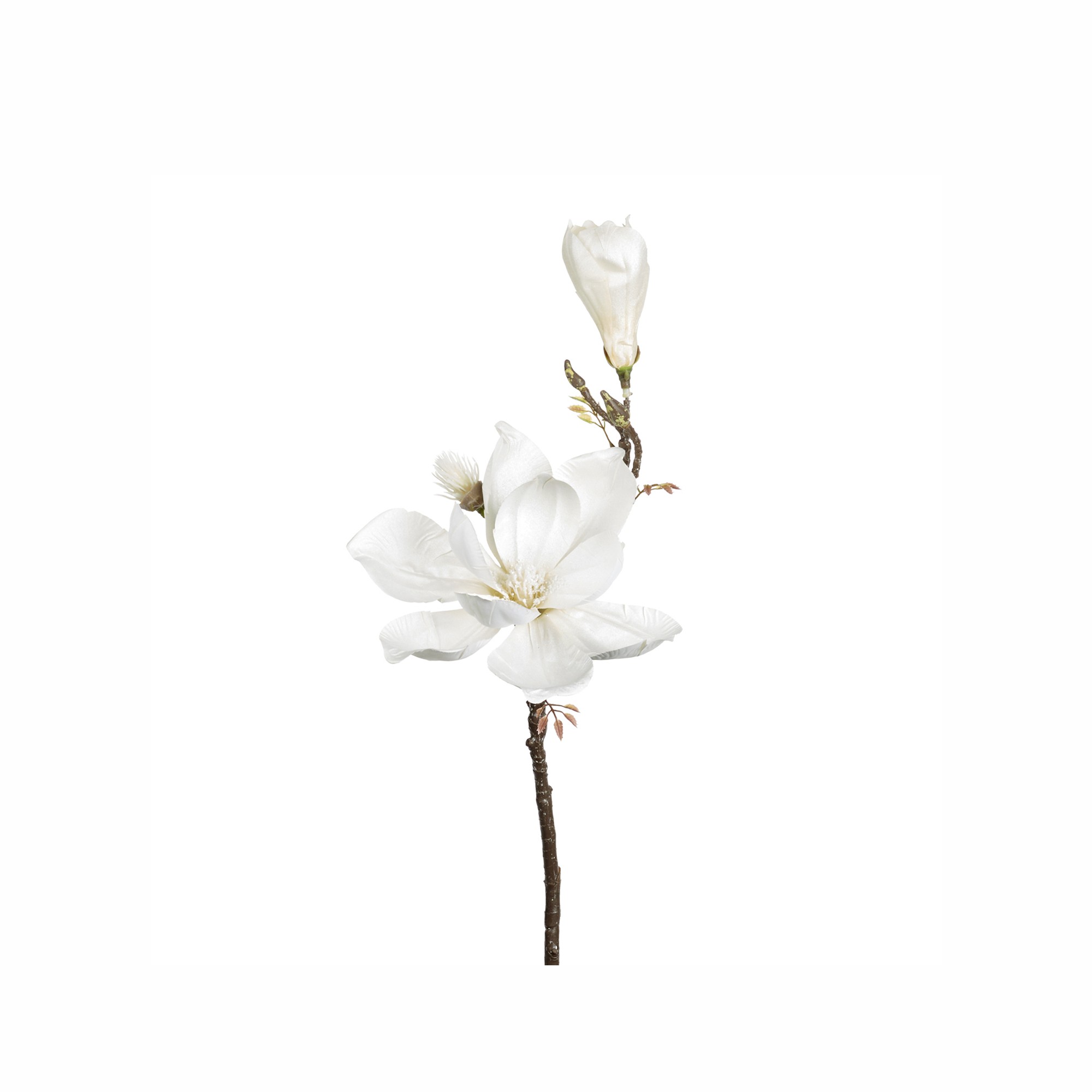 MAGNOLIA FLOWER/BUDS STEM WH