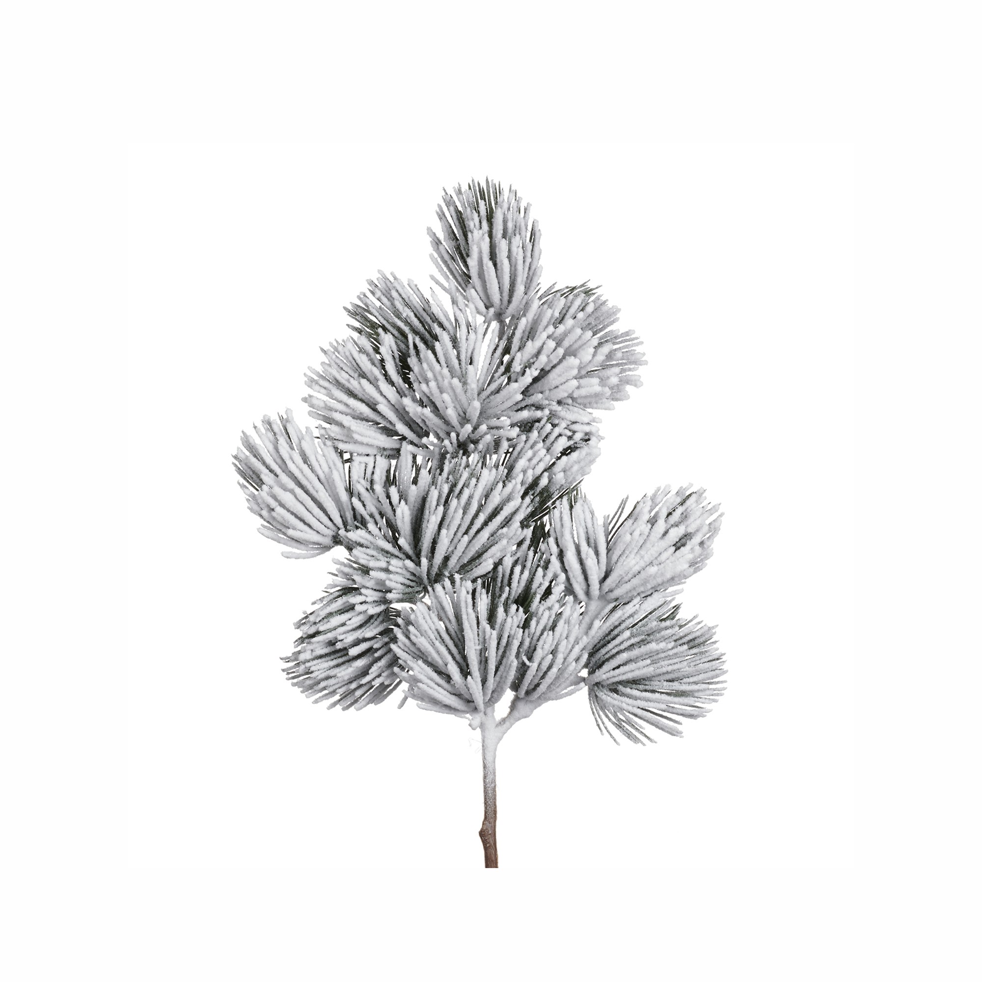 SNOW NEEDLE PINE STEM GRN/WH