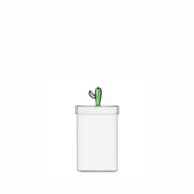DESERT PLANTS box cactus green