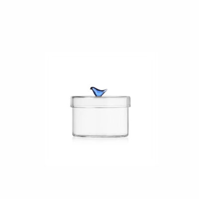 BIRDS box blue bird