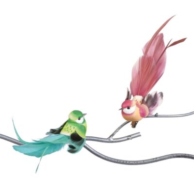 PLUME TROP.BIRD ON CLIP ASS/2 MULTI 15CM (MC-40306)