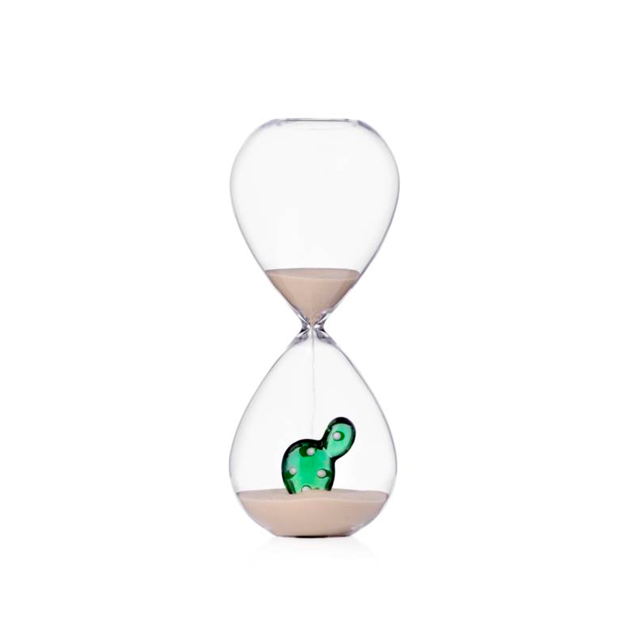 DESERT PLANTS hourglass cactus green