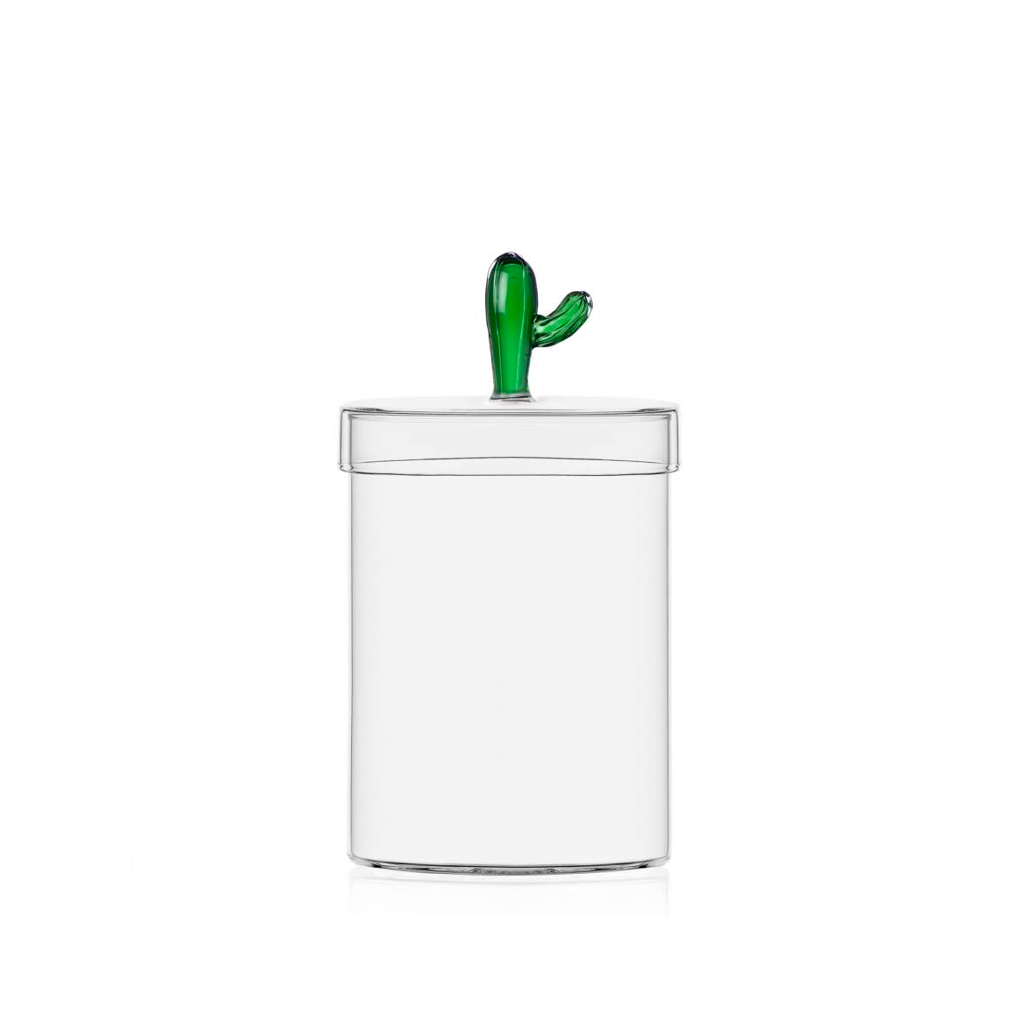 DESERT PLANTS box cactus green