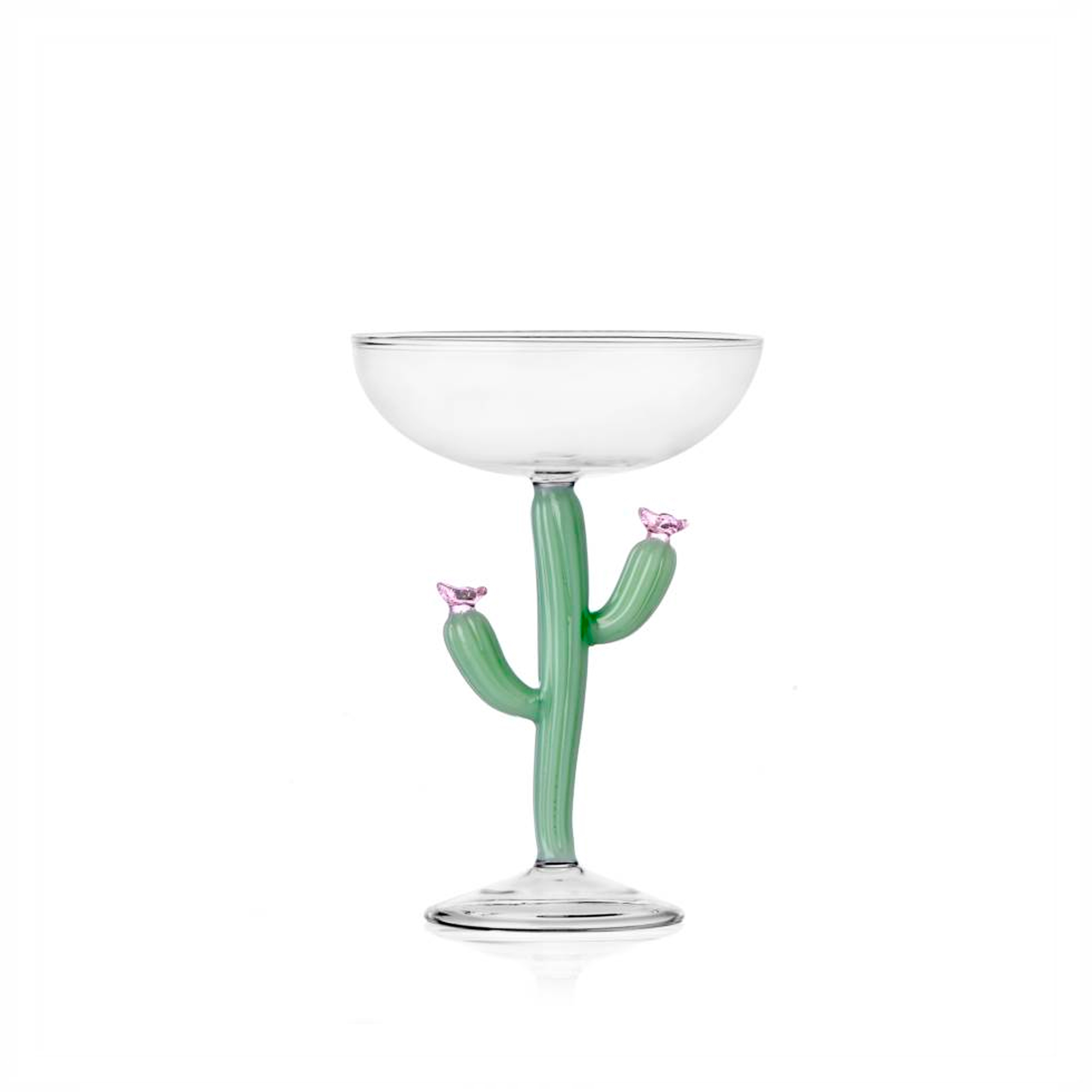 DESERT PLANTS champagne bowl cactus matt