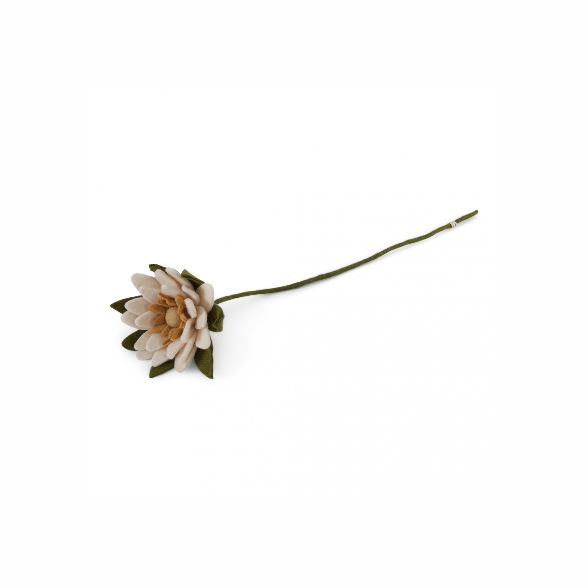 Латаття біле Gry&Sif – Waterlily (white)